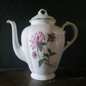 Vintage Richard Ginori Porcelain Teapot Botanical Elderberry and Scarlet Beebalm